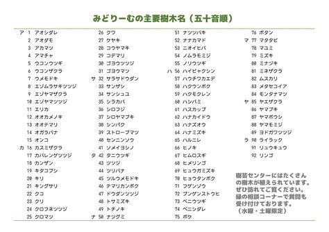 木名|樹木検索図鑑：名前一覧（50音順）